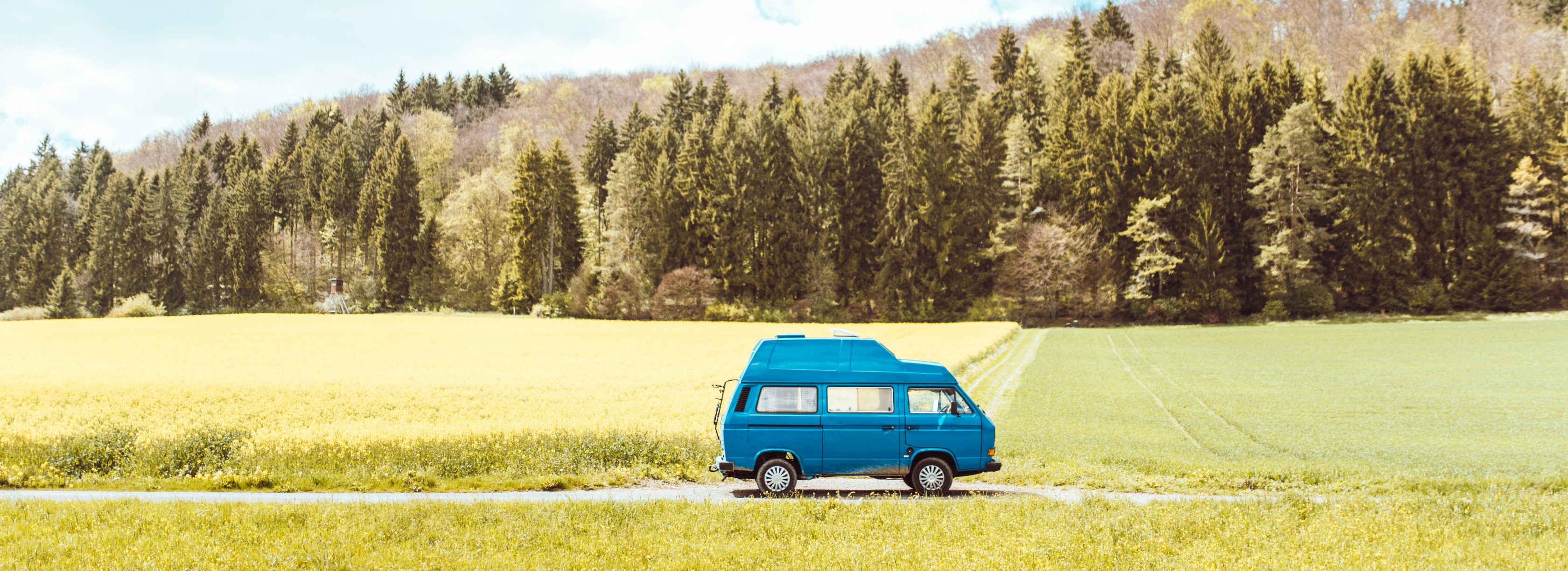 Ein blaues Wohnmobil fährt auf einem Weg in einer grünen Wiese und Wald im Hintergrund.