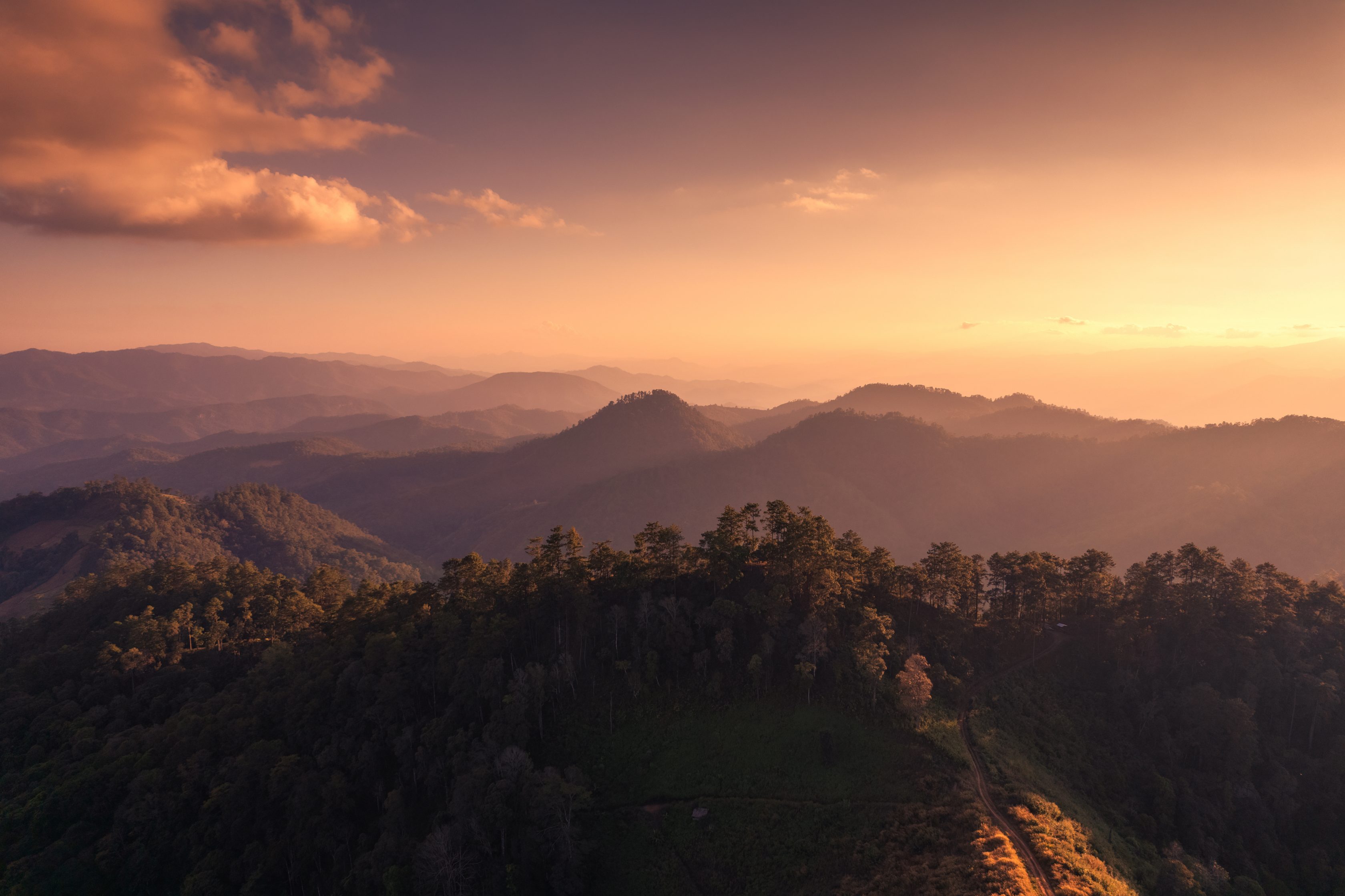 Eine Berglandschaft mit Wald bei Sonnendämmerung.