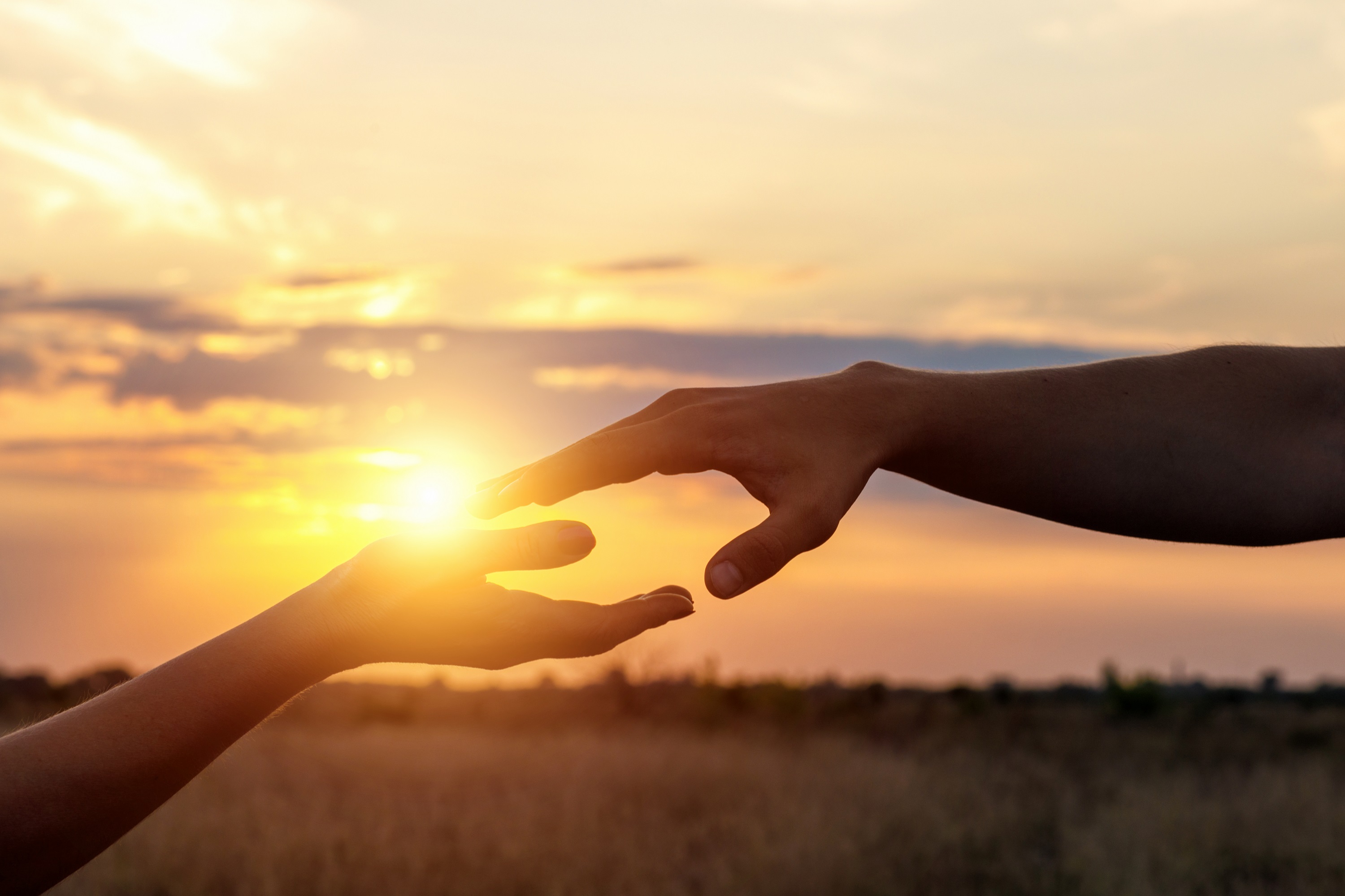 Eine Nahaufnahme eines Handschlags bei Sonnenuntergang auf einem Feld.