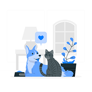 pets-insurance