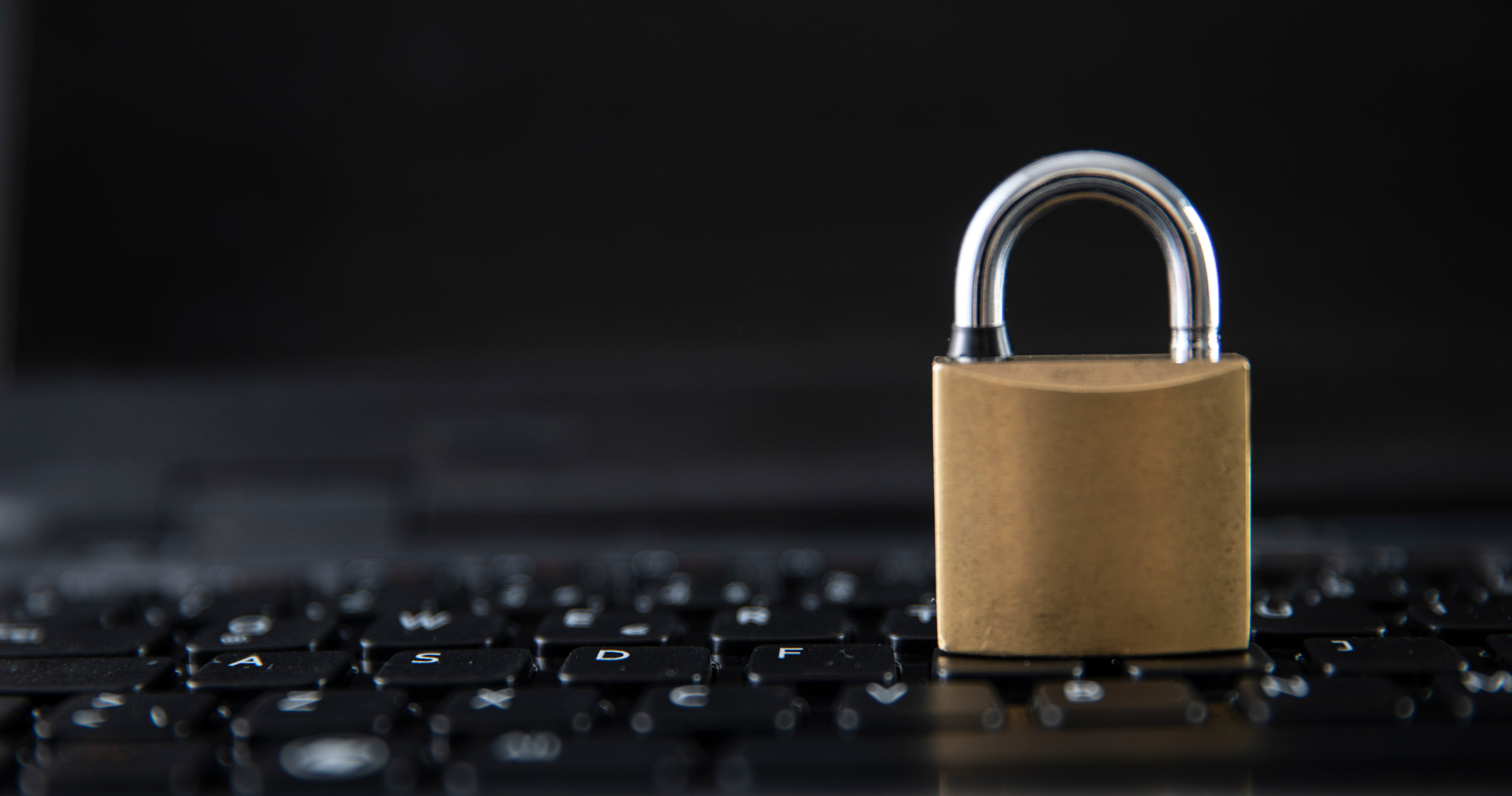 Allyz Cyber es la solución para evitar la ciberdelincuencia