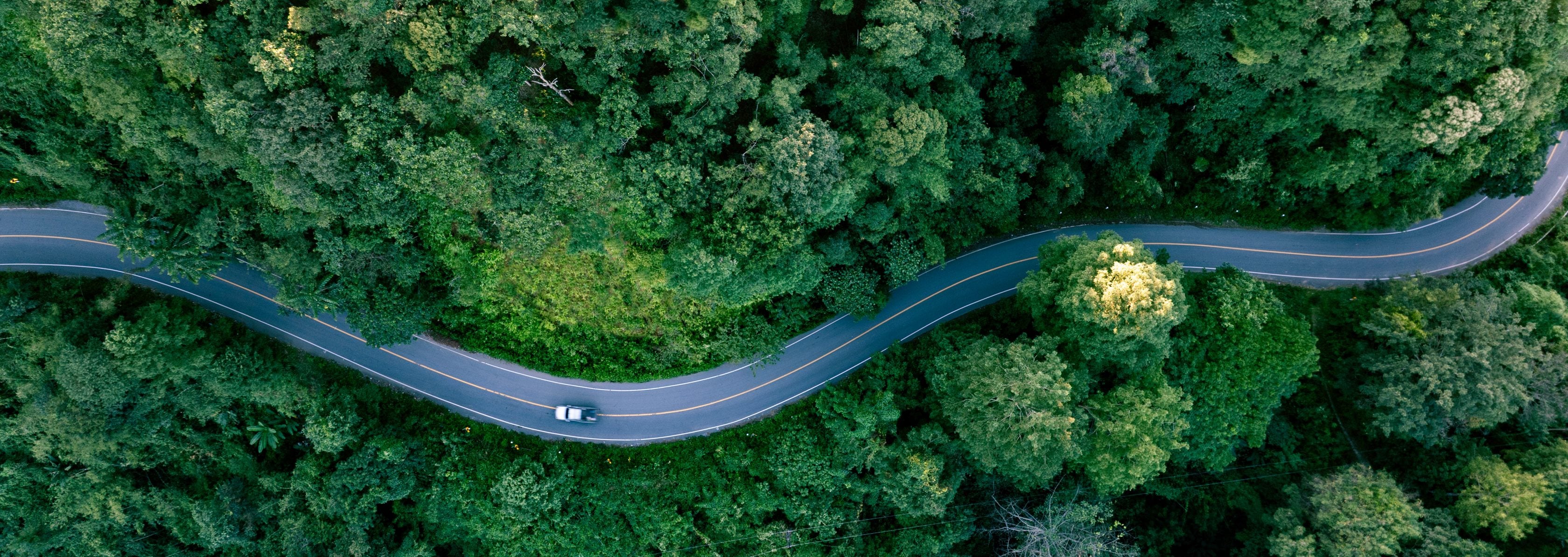 Boom du véhicule électrique : comment l’assistance répond aux nouveaux besoins ?