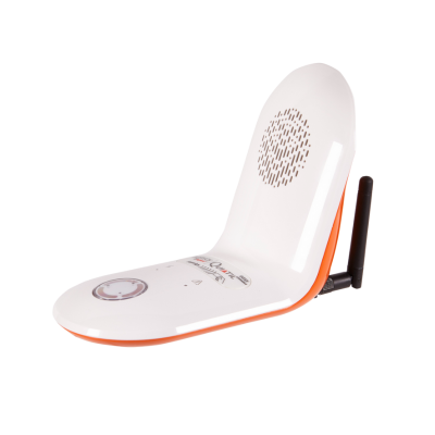 Téléassistance à domicile