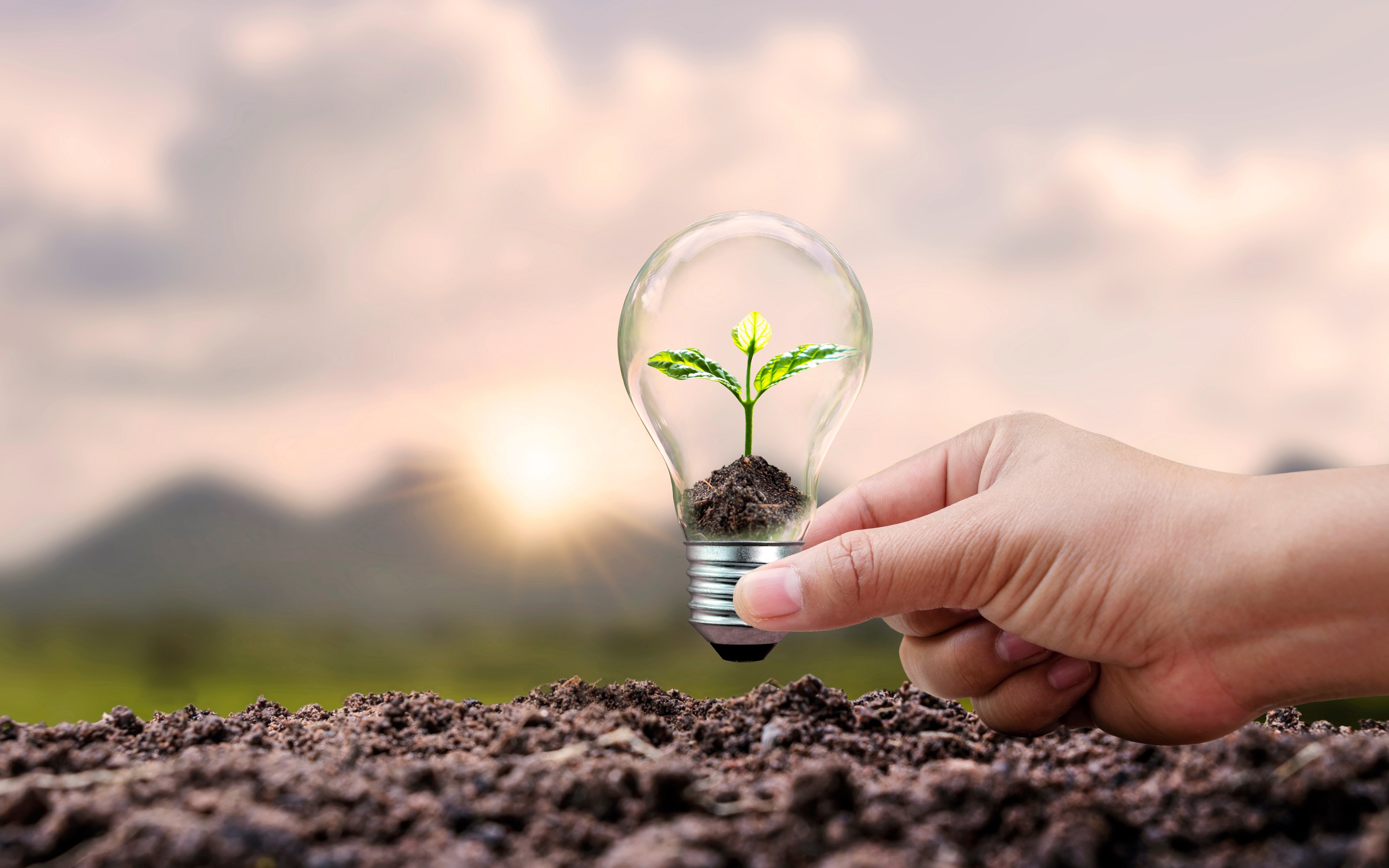 useful description of image if informative and not decoration only.